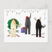 Niets steekt Afghaanse Kerstmis uit Feestdagenkaart (Voorkant)