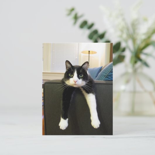 Niets te doen briefkaart (Staand voorkant)