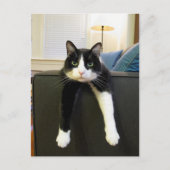 Niets te doen briefkaart (Voorkant)