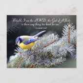 Niets te moeilijk voor de Heer Briefkaart (Voorkant)