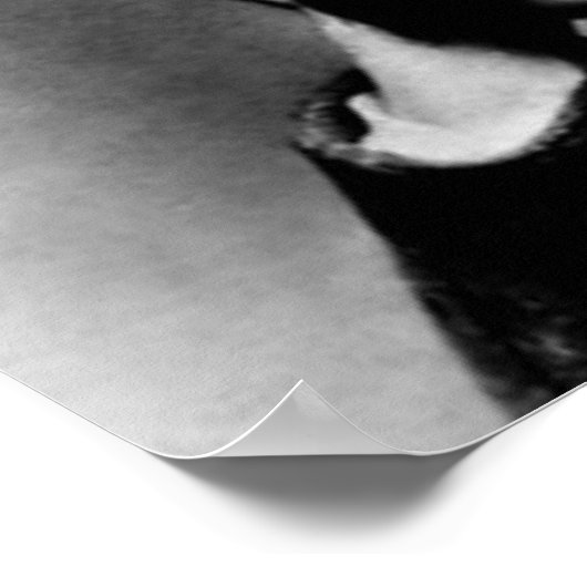 Nietzsche "A Why" Wisdom Quote Poster (Hoek)