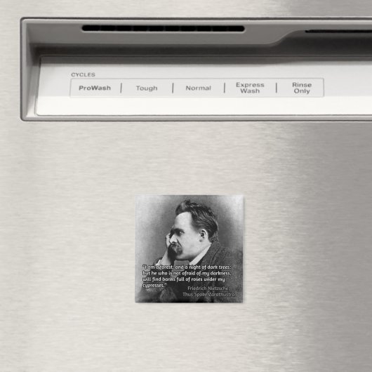 Nietzsche citaat over duisternis magneet (Insitu (Vaatwasser))