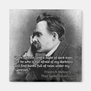 Nietzsche citaat over duisternis magneet