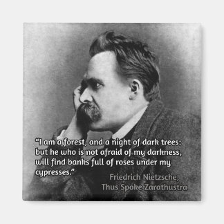 Nietzsche citaat over duisternis magneet