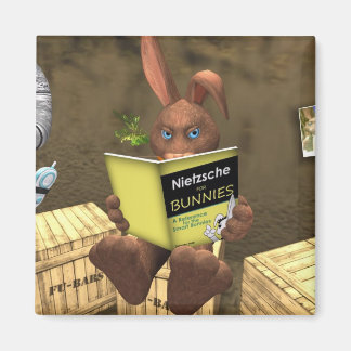 Nietzsche voor konijntjes kleine natie magneet