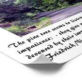 Nietzsche's bos - poster (Hoek)