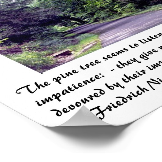 Nietzsche's bos - poster (Hoek)