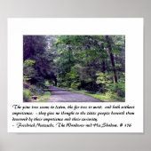 Nietzsche's bos - poster (Voorkant)