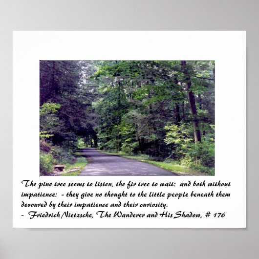 Nietzsche's bos - poster (Voorkant)