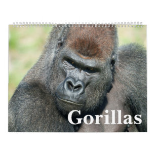 NIEUW 2026 Gorilla Kalender