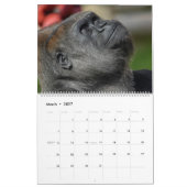 NIEUW 2026 Gorilla Kalender (Mar 2027)