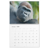 NIEUW 2026 Gorilla Kalender (Jan 2027)