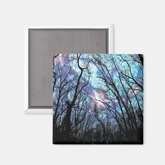 Nieuw 4 Grote Vierkante Magneet (Voorkant / Achterkant)