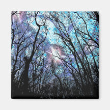 Nieuw 4 Grote Vierkante Magneet