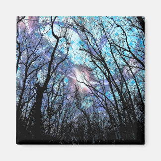 Nieuw 4 Grote Vierkante Magneet