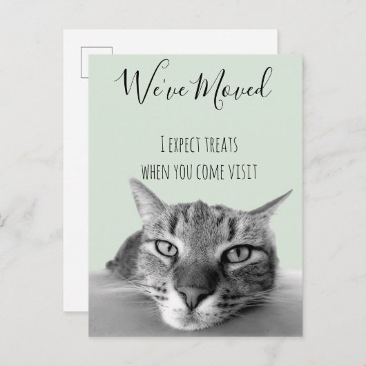 Nieuw adres aankondiging van Cat Funny (Voorkant / Achterkant)