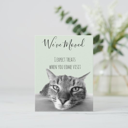 Nieuw adres aankondiging van Cat Funny (Staand voorkant)