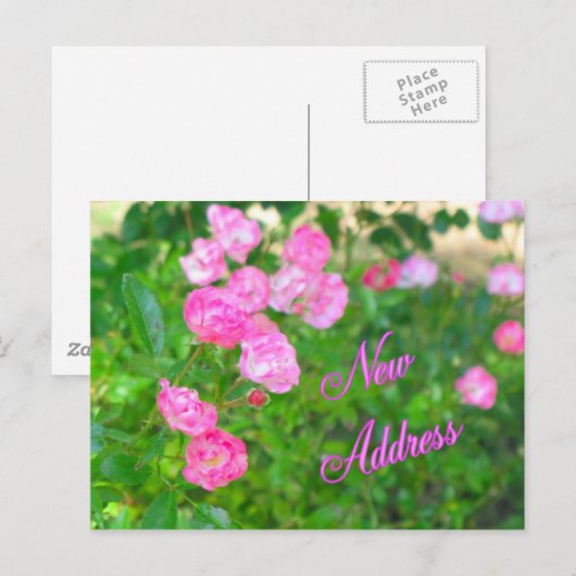 Nieuw adres aankondigingskaart (Voorkant / Achterkant)