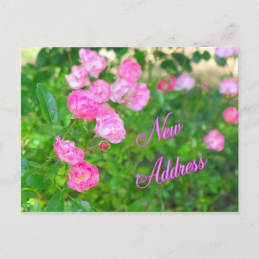 Nieuw adres aankondigingskaart (Voorkant)