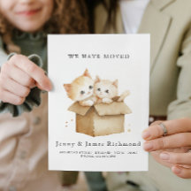 Nieuw Adres Schattigee Katten in Kartonnen Doos