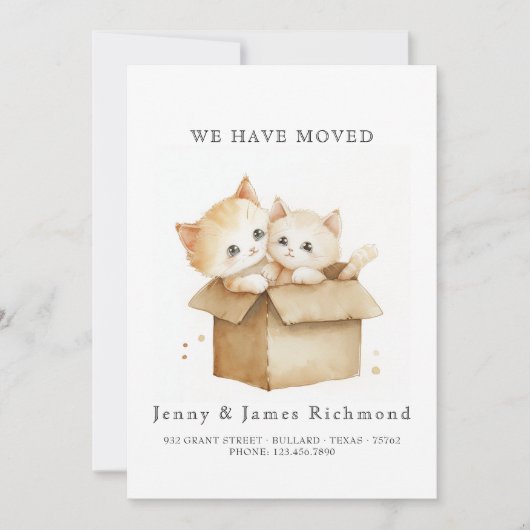 Nieuw Adres Schattigee Katten in Kartonnen Doos Aankondiging (Voorkant)