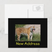 "Nieuw adres" Tiger Briefkaart (Voorkant / Achterkant)