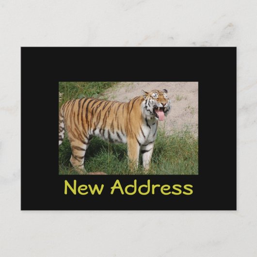 "Nieuw adres" Tiger Briefkaart (Voorkant)