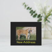 "Nieuw adres" Tiger Briefkaart (Staand voorkant)