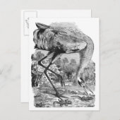 Nieuw adres |  vogel | BW | kinkkraan Aankondigingskaart (Voorkant / Achterkant)