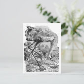 Nieuw adres |  vogel | BW | kinkkraan Aankondigingskaart (Staand voorkant)