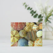 Nieuw adres Zee Urchin en Seashells Briefkaart (Staand voorkant)