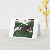 "NIEUW AVONTUUR IN HET LEVEN" SUCCES ZEGT SPANIEL KAART (Gele Bloem)