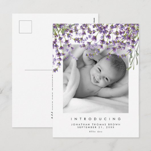 Nieuw Baby Neutral Lavender Photo briefkaart (Voorkant / Achterkant)