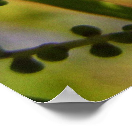 Nieuw Begin binnen het Poster van schaduwen (Hoek)