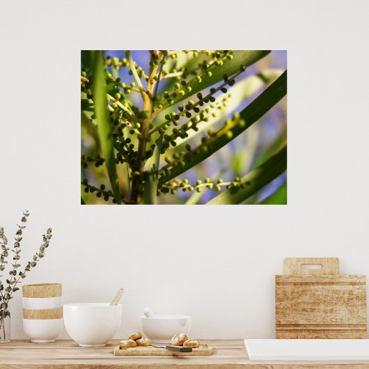 Nieuw Begin binnen het Poster van schaduwen (Keuken)