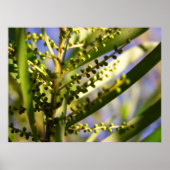 Nieuw Begin binnen het Poster van schaduwen (Voorkant)