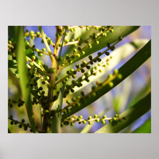 Nieuw Begin binnen het Poster van schaduwen (Voorkant)