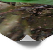 Nieuw begin poster (Hoek)