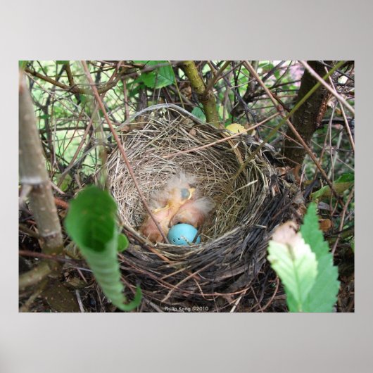 Nieuw begin poster (Voorkant)