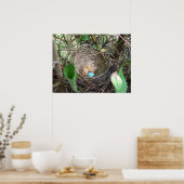 Nieuw begin poster (Keuken)