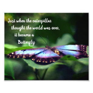 Nieuw Begin Vlinder Inspirerend Quote 8x10 Foto Afdruk