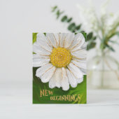 Nieuw Beginnings - Daisy flower power Briefkaart (Staand voorkant)