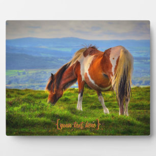 Nieuw bloed op dartmoor fotoplaat