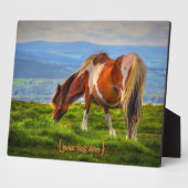 Nieuw bloed op dartmoor fotoplaat (Zijkant)