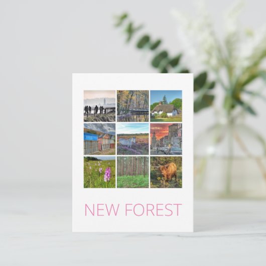 Nieuw bos briefkaart (Staand voorkant)