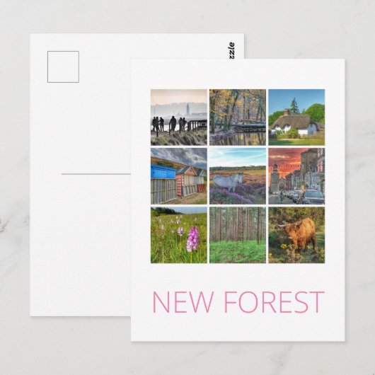 Nieuw bos briefkaart (Voorkant / Achterkant)