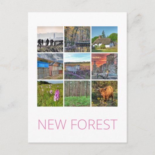 Nieuw bos briefkaart (Voorkant)