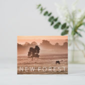 Nieuw bos briefkaart (Staand voorkant)