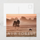 Nieuw bos briefkaart (Voorkant / Achterkant)