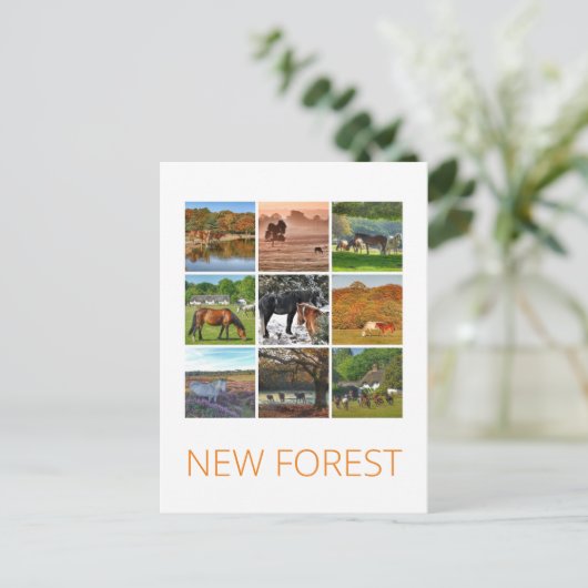 Nieuw bos briefkaart (Staand voorkant)